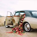 ���� �����, ������������ - ��������� 2 ������� 2016 � ������ ������ ��������