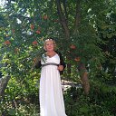 ���� ������, ���������, 43 ���� - ��������� 8 ������� 2016 � ������ ���� ����������