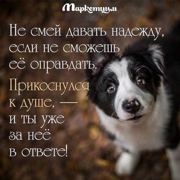   .  -       ,     ,  ...