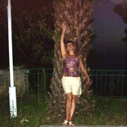 ���� ����, ������, 66 ��� - ��������� 14 ��� 2016