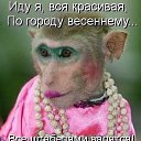 ���� �������, ���� - ��������� 9 ������ 2016 � ������ ������ ��������
