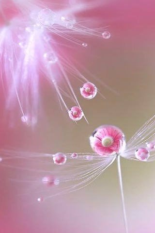  ! - 16  2016  11:18 - 4