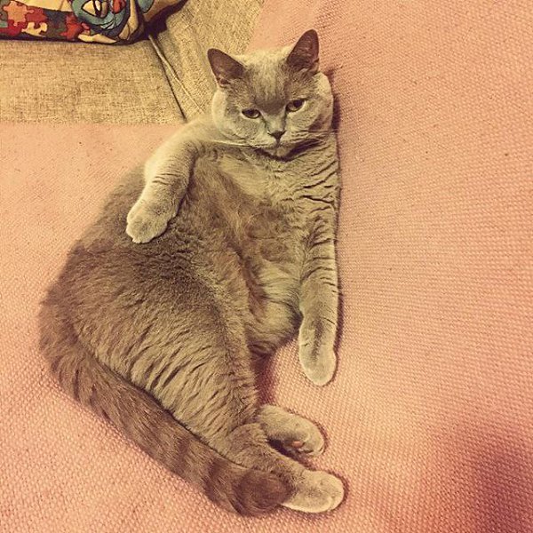 ������� � ����� � ����, � ���� ����� ������� �� ����� ���� ������... 