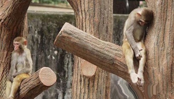 Ладно, давай уже помиримся. Мы ведь с тобой оба виноваты. Особенно ты