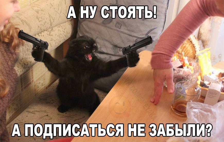  - 14  2016  09:52
