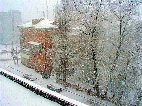 Смотрю в окно и понимаю – Весна наступит только в  - Лучший юмор