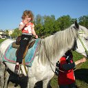 ���� �����, �����������, 31 ��� - ��������� 8 ������ 2016 � ������ ���� ����������