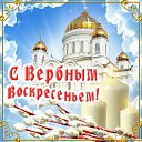 ���� �����, ������ - ��������� 9 ��� 2016 � ������ �������� ��������
