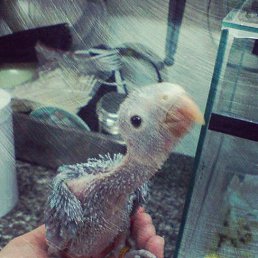 Фото Данила, Прутской, 19 лет Данила, Прутской, 19 лет