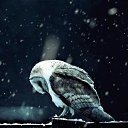 ���� Sova, ������, 44 ���� - ��������� 10 �������� 2016 � ������ ������ ��������