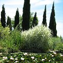 ���� �����, �����, 40 ��� - ��������� 8 ��� 2016 � ������ ������ ��������