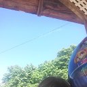  , , 37  -  12  2016    