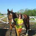  , -, 46  -  27  2016    