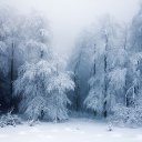 ���� ���a���, �����-��������� - ��������� 5 ������ 2016 � ������ ���� ����������