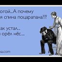 ���� ����, �������� - ��������� 12 ������ 2016 � ������ �����Ż