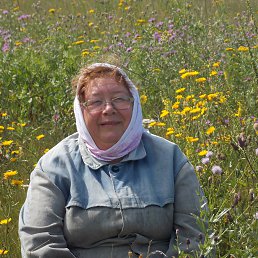 ���� �����, �����, 69 ��� - ��������� 16 ��� 2016