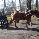  Leo13, , 58  -  18  2016    