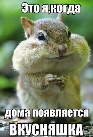  |  - 24  2016  17:07