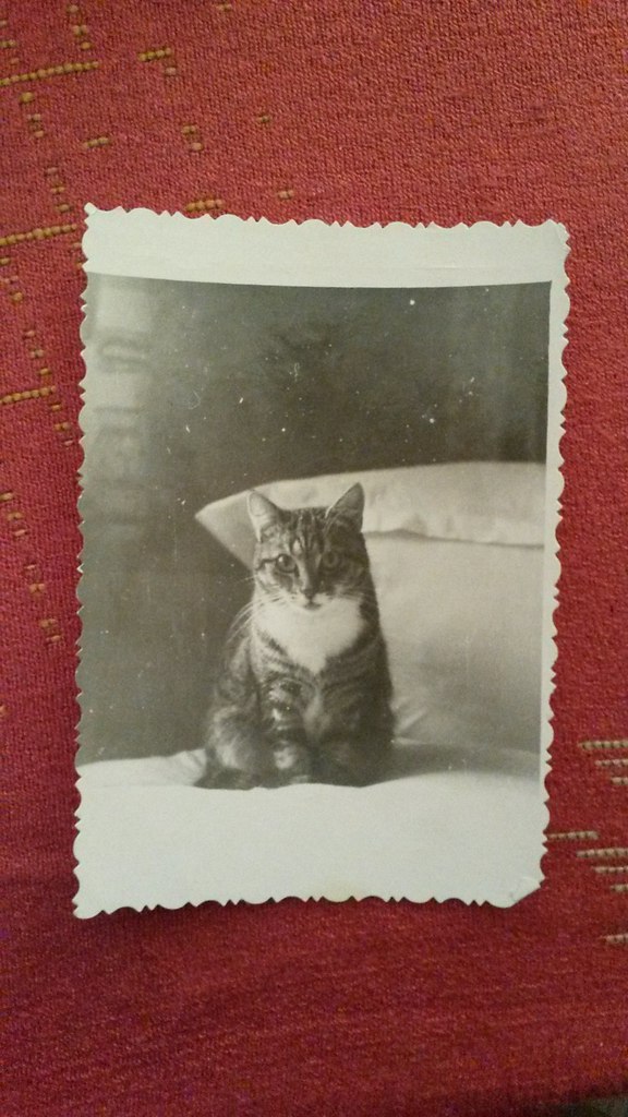   ,  . ,  , ~1960 .