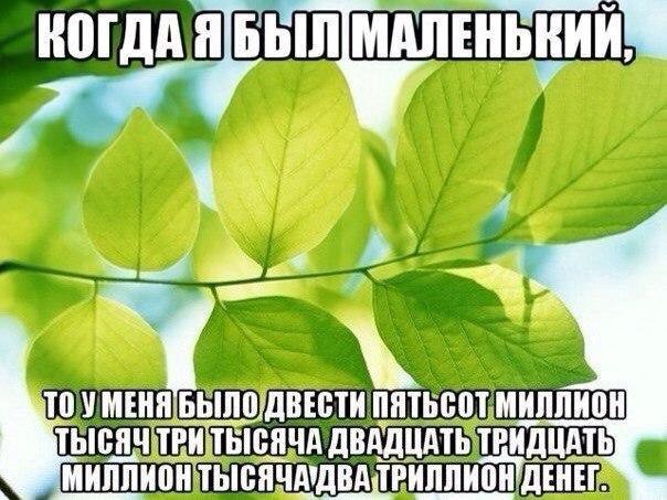 ? ,  ! - 13  2016  19:51