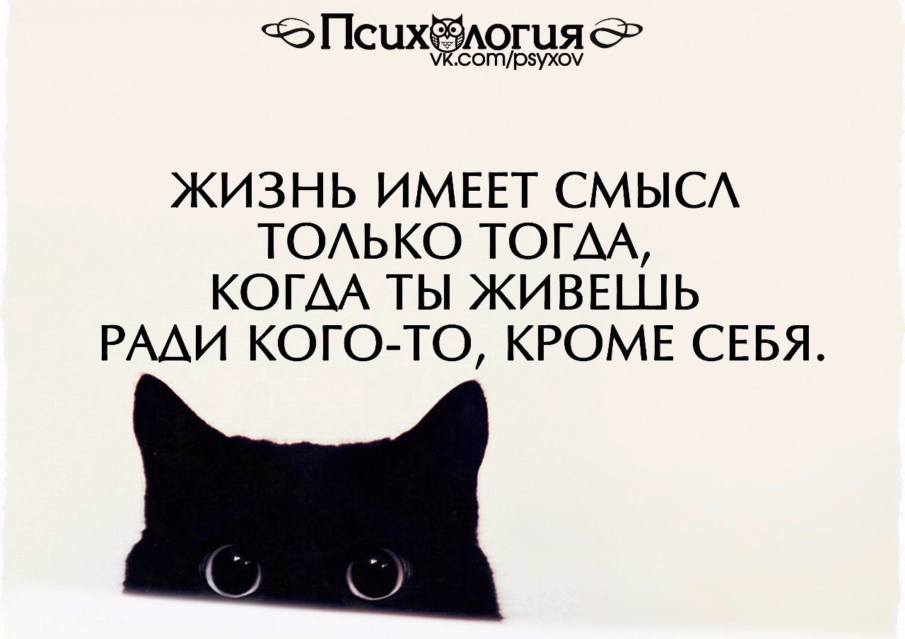  - 13  2016  12:34