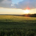 ���� �������, ������ - ��������� 5 ��� 2016 � ������ ������� ���� 2015�