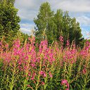 ���� �������, ������ - ��������� 5 ��� 2016 � ������ ������� ���� 2015�