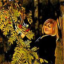 ���� ������, �������, 45 ��� - ��������� 24 ������� 2016 � ������ ���������� ������