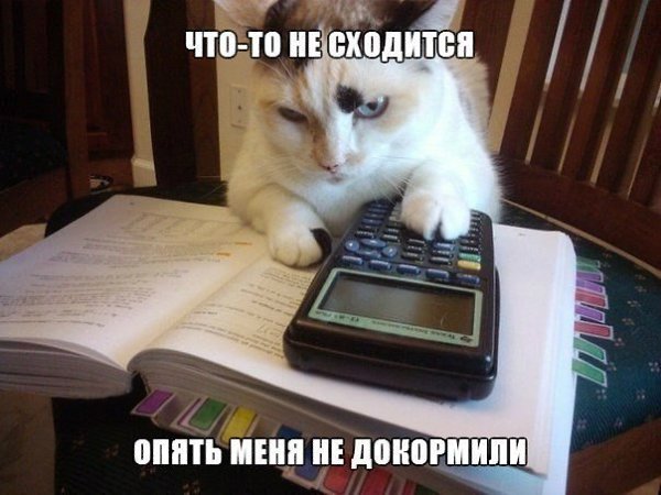 ������ - ��������� - 22 ��� 2016 � 14:23