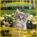  ,  -  22  2016    