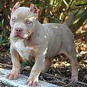 ���� ���������, �����-���������, 35 ��� - ��������� 4 ��� 2016