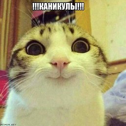  , , 26 