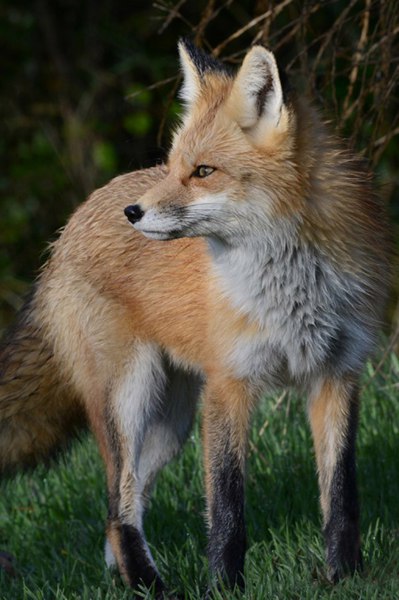  ! - 17  2016  13:58 - 4