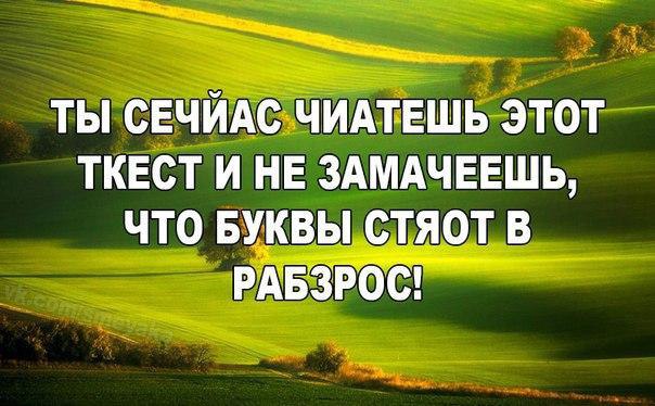 ? ,  ! - 17  2016  01:59