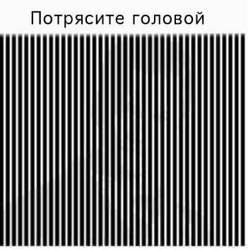    :D - 11  2016  16:31