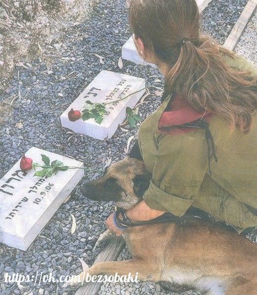  2003        .   ,    ...