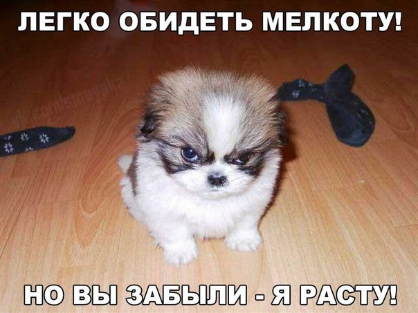    :D - 6  2016  14:31