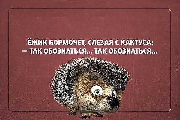  - ,  - 2  2016  18:49 - 2