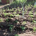 ���� ����, ���� - ��������� 12 ��� 2016 � ������ ���� ����������