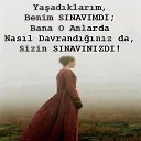 ���� �����, ������� - ��������� 29 ����� 2016 � ������ ���� ����������