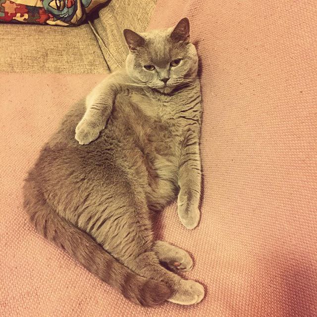 ������� � ����� � ����, � ���� ����� ������� �� ����� ���� ������... 