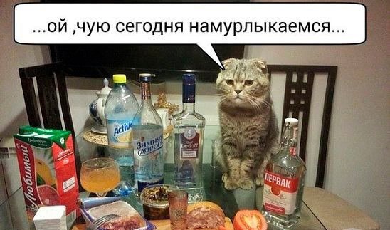  - 20  2016  17:07