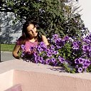 ���� �����, ������, 48 ��� - ��������� 24 ������� 2016 � ������ ���� ����������