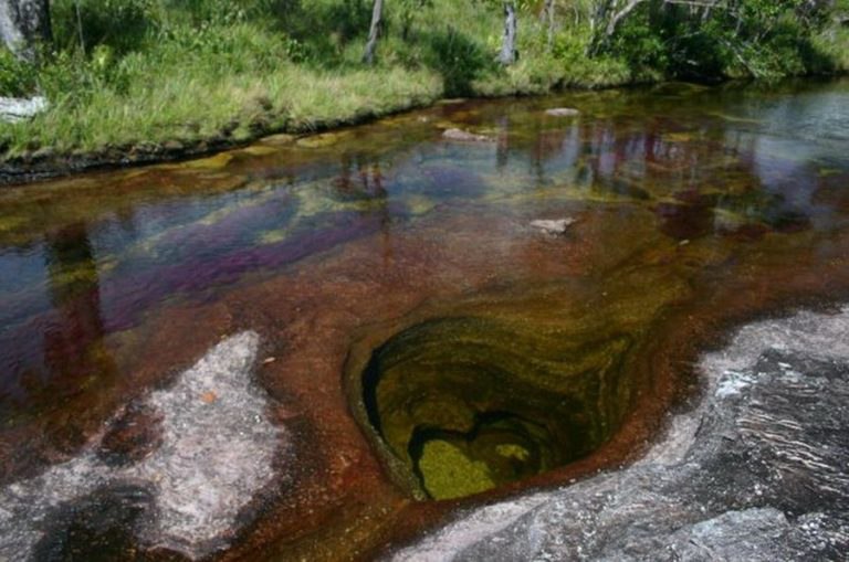   (Cano Cristales -  )    . - 6