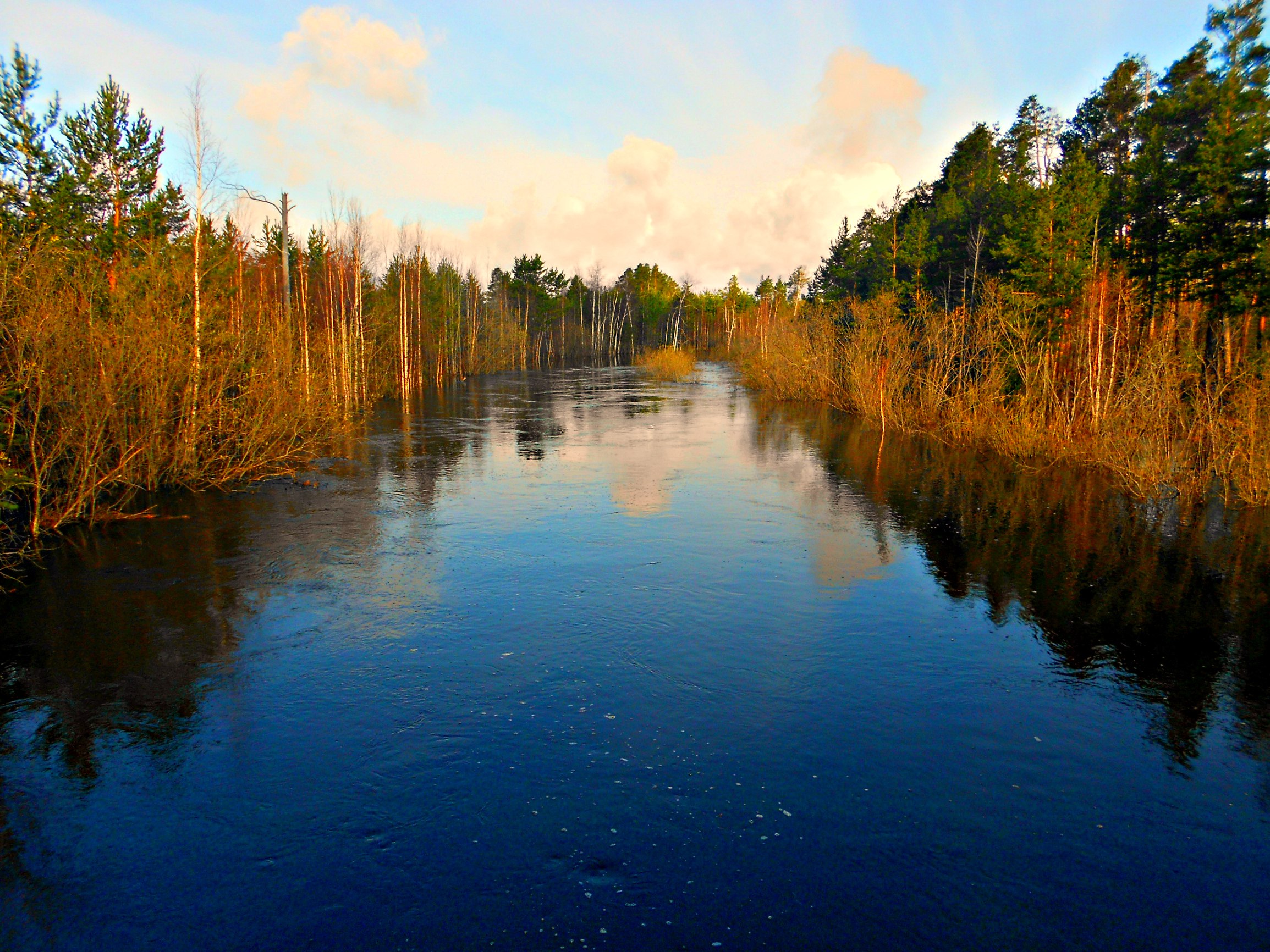 -    :   ,   ,      , ...