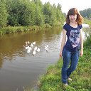 ���� �������, ���������, 43 ���� - ��������� 22 ���� 2016 � ������ ���� ����������