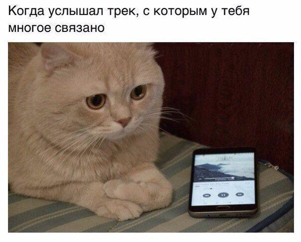 - 21  2016  13:05