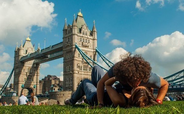        .     ,    ,  ... - 6