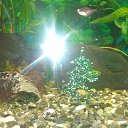 ���� ����, ������-��-����, 52 ���� - ��������� 12 ��� 2016