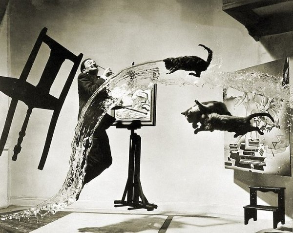 1948 год, Нью-Йорк. Филипп Халсман фотографирует Сальвадора Дали с кошками. К потолку на леску ...